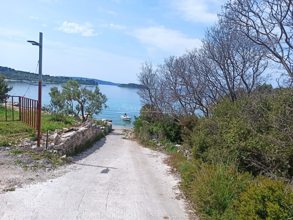 Image 5832021 - 11