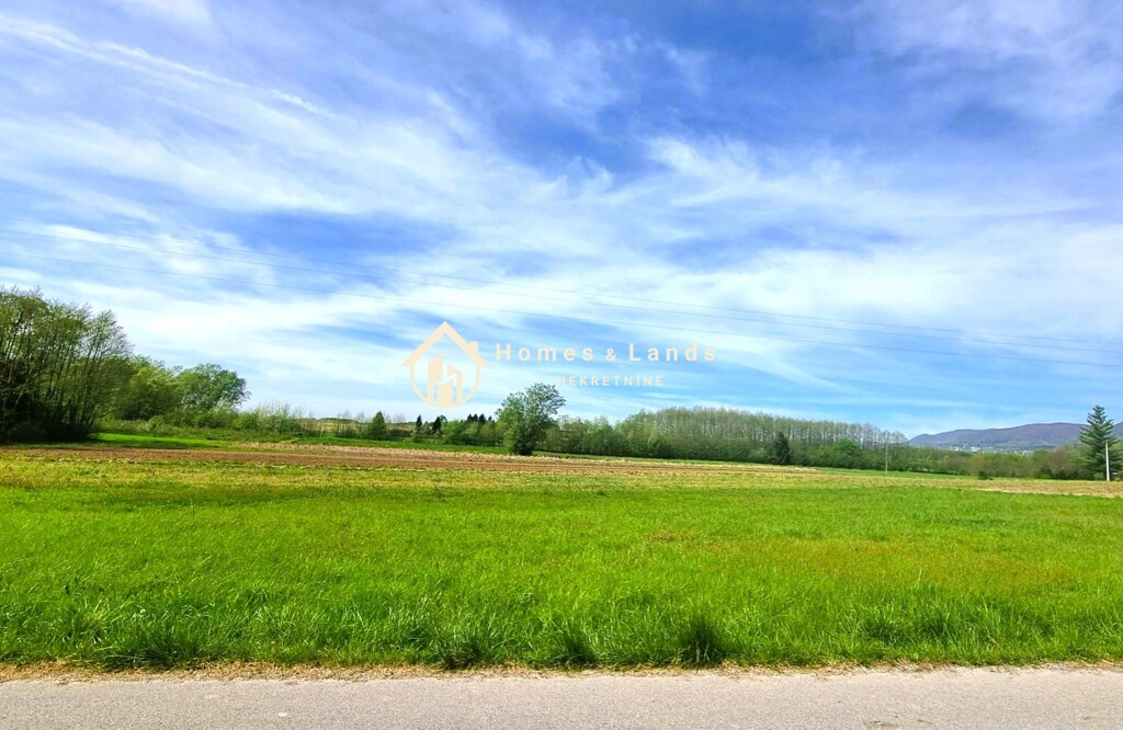 Image 5832045 - 4