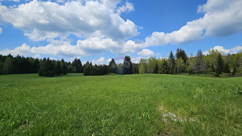 Image 5833415 - 7