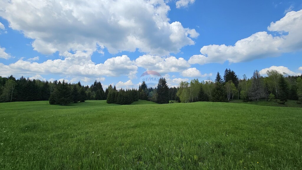 Image 5833415 - 2