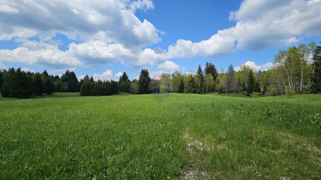 Image 5833415 - 8