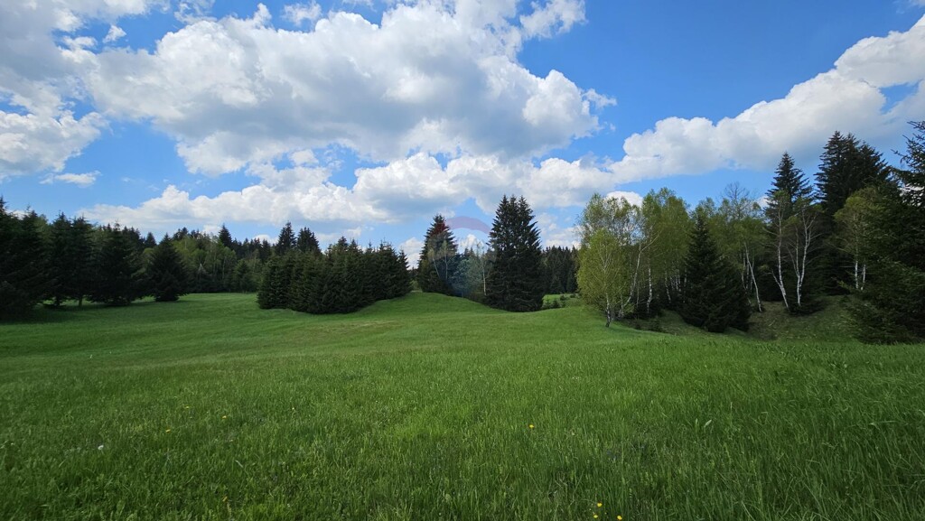 Image 5833415 - 6
