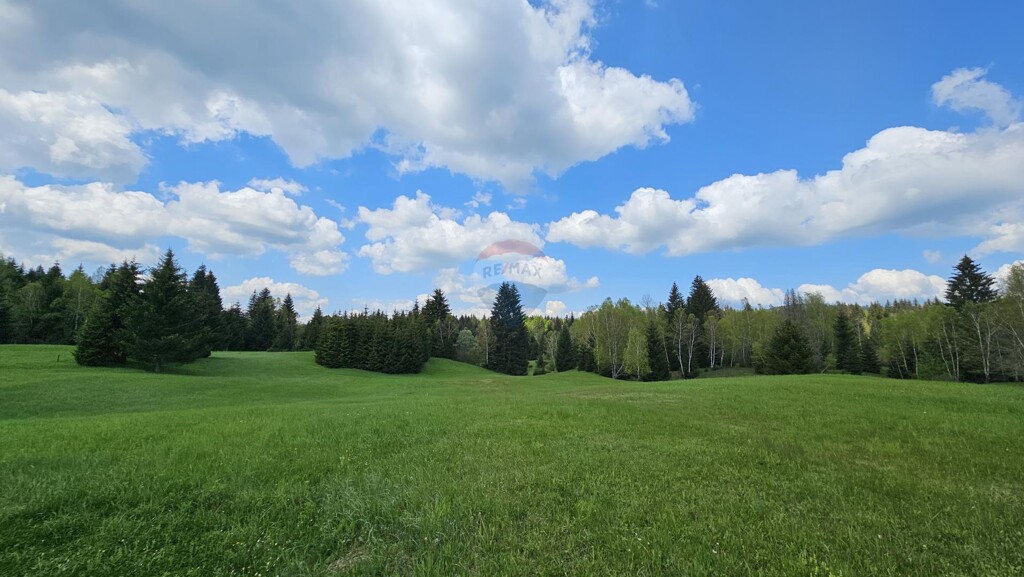 Image 5833415 - 1