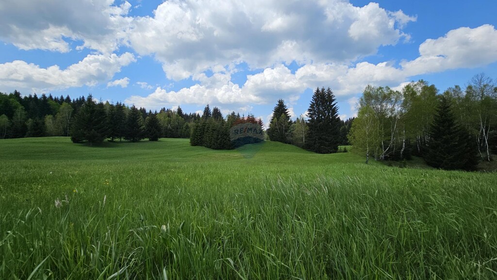 Image 5833415 - 5