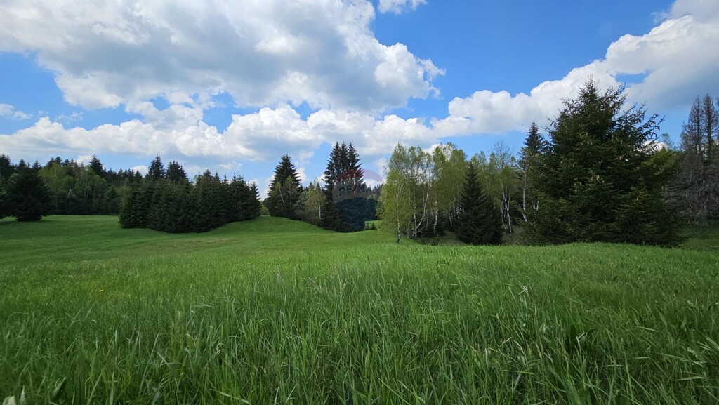 Image 5833415 - 4