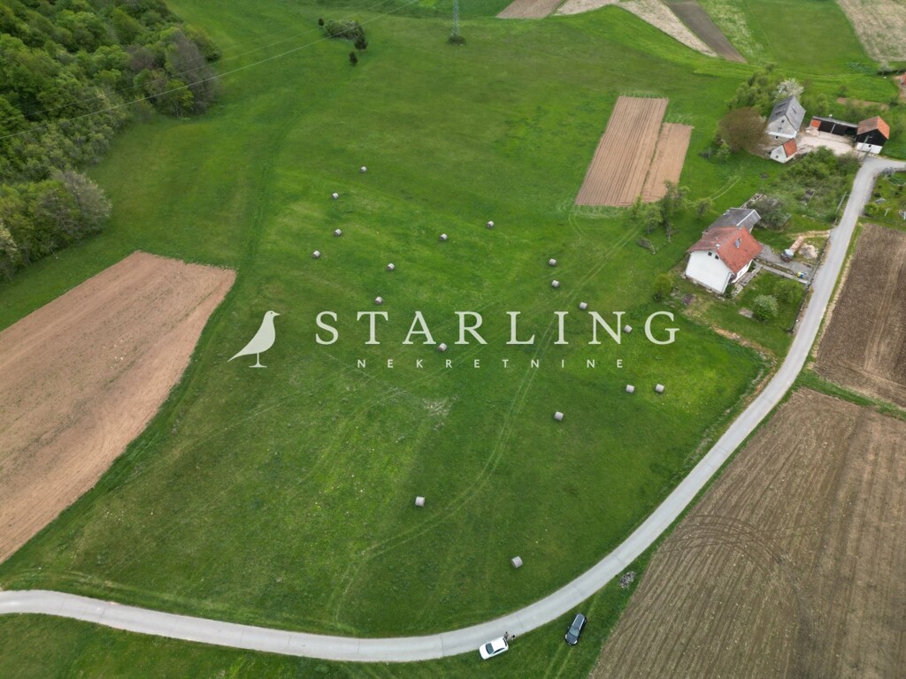 Image 5839212 - 1