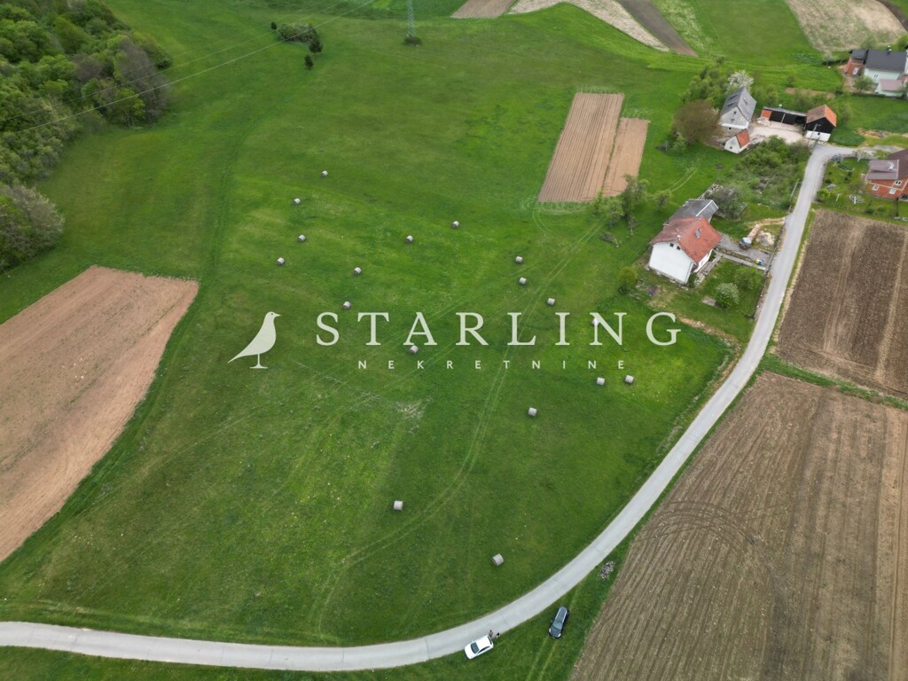 Image 5839212 - 2