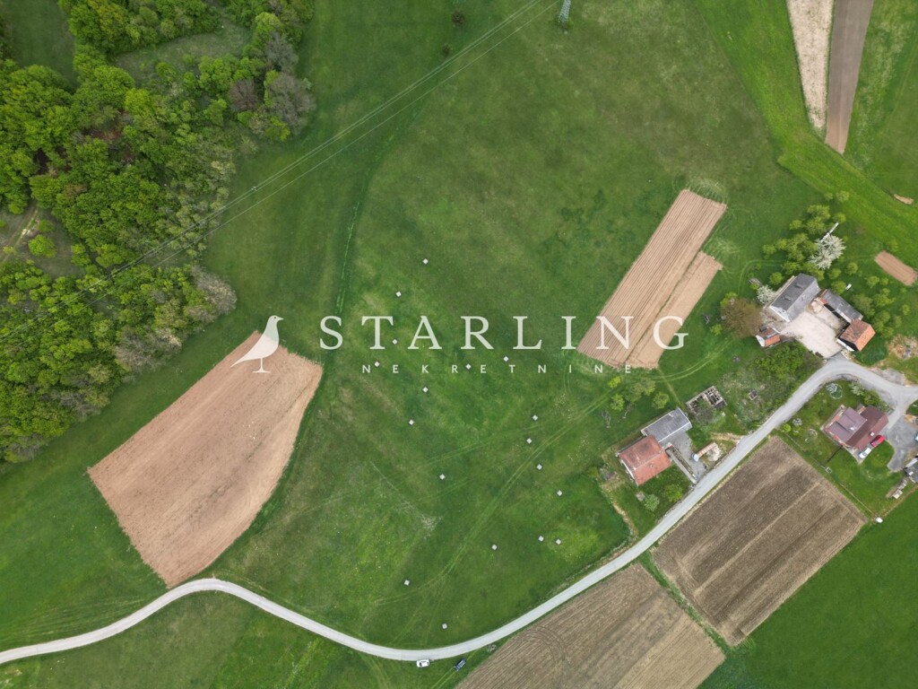 Image 5839212 - 7