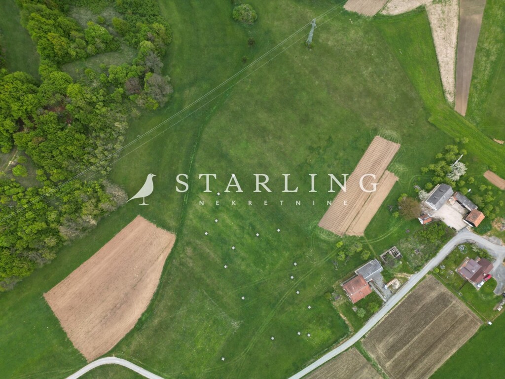 Image 5839212 - 8