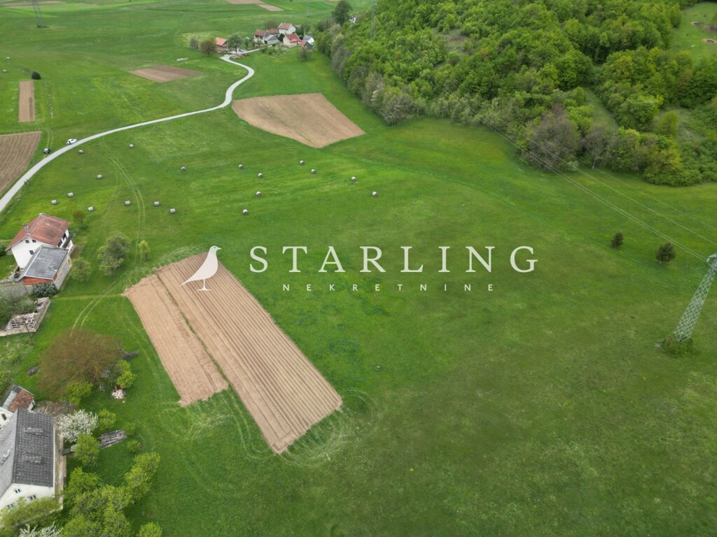 Image 5839212 - 4