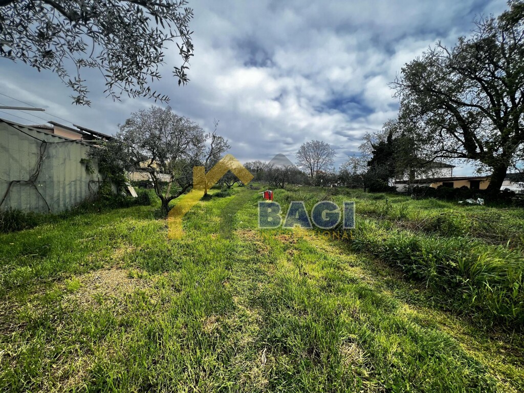 Image 5839231 - 2