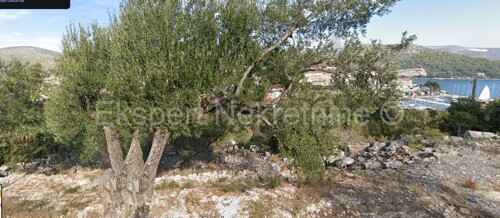 Thumbnail 5839454 - 1