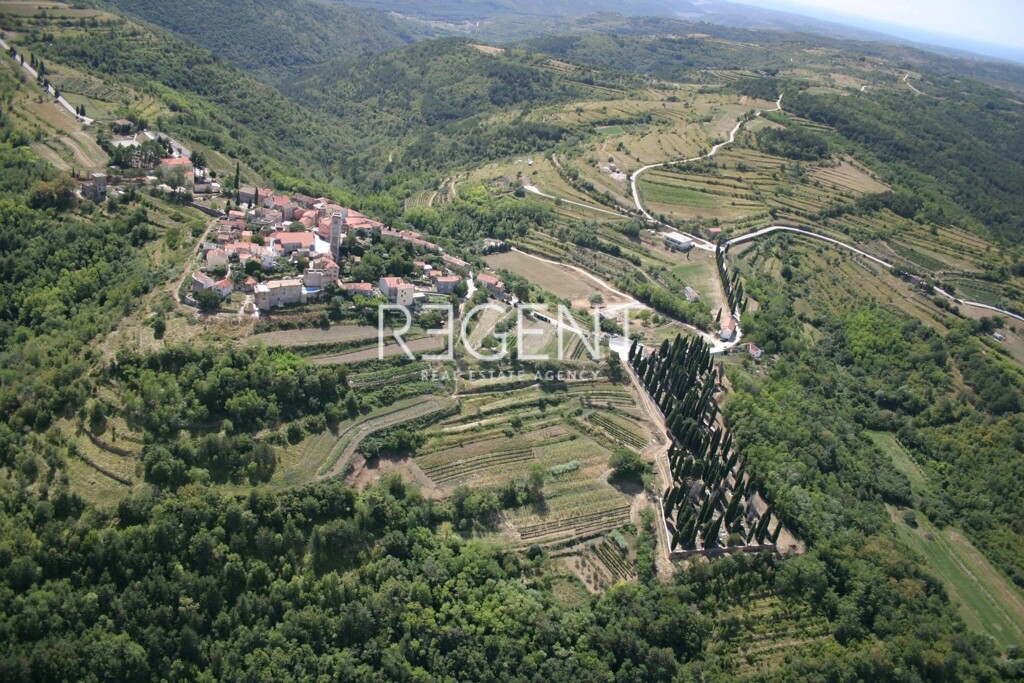 Image 5839928 - 1