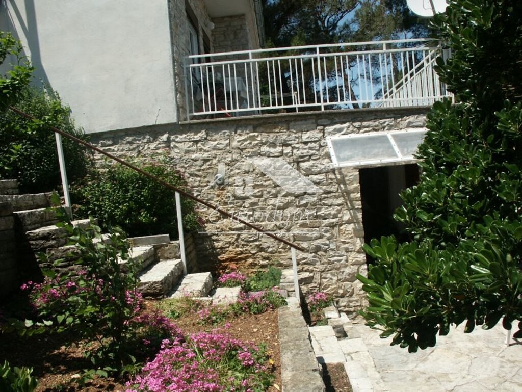 Image 5845448 - 4