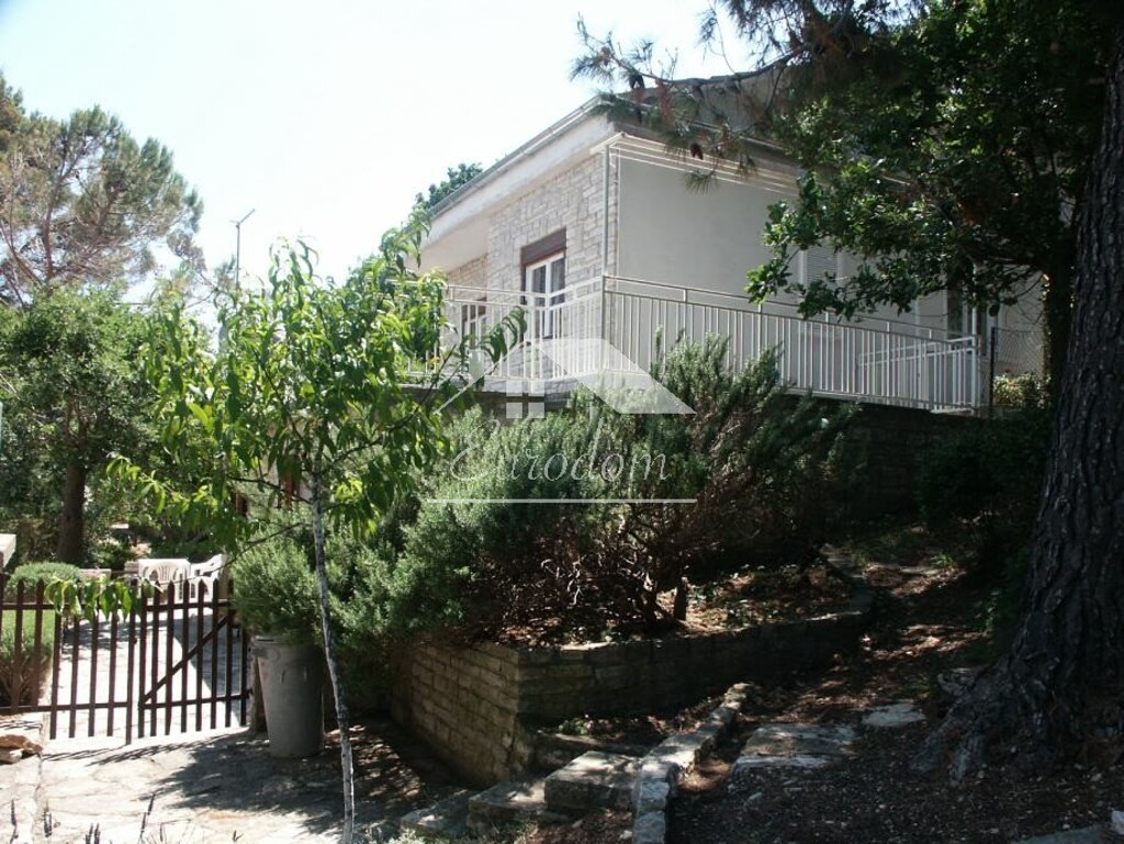Image 5845448 - 2