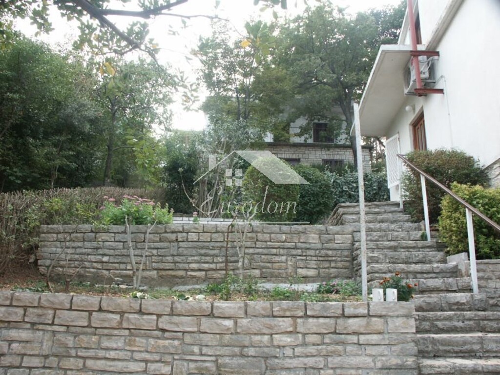 Image 5845448 - 8