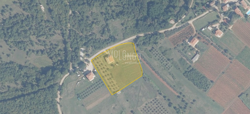 Thumbnail 5846044 - 2