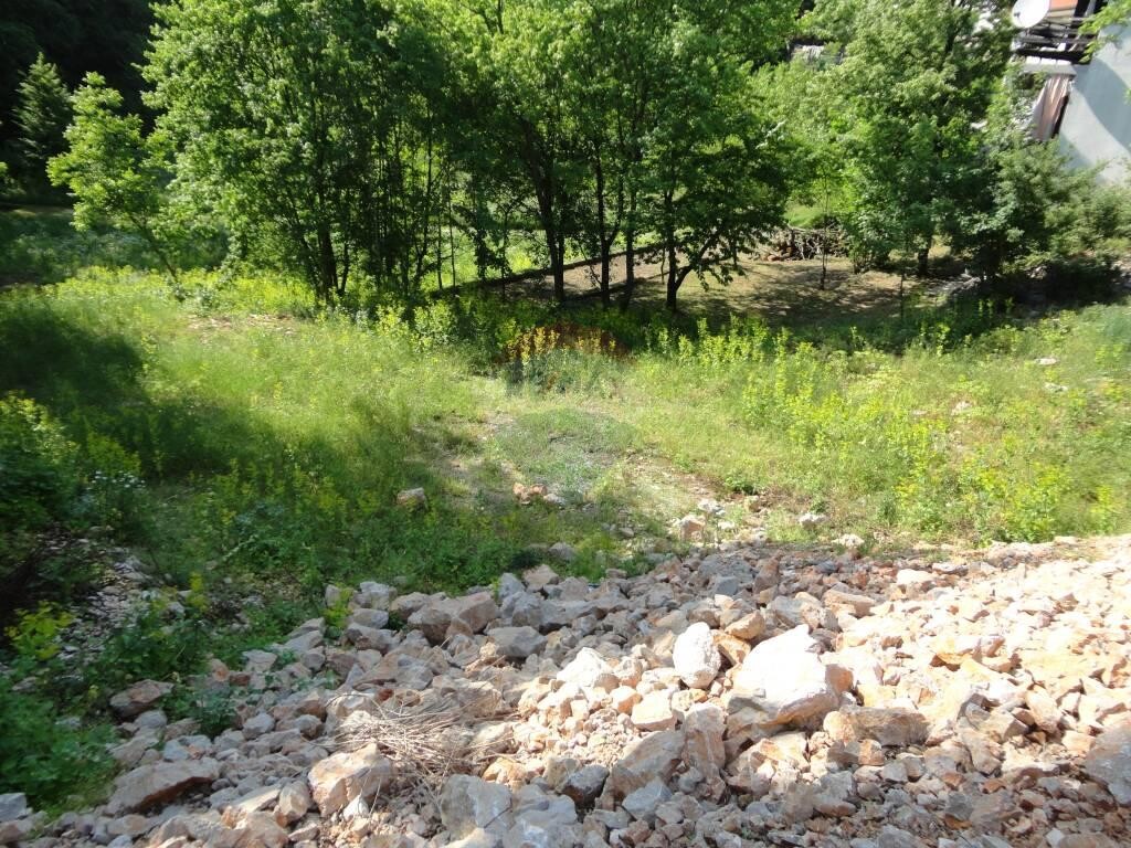 Image 5846136 - 3