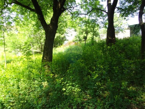 Thumbnail 5846136 - 2