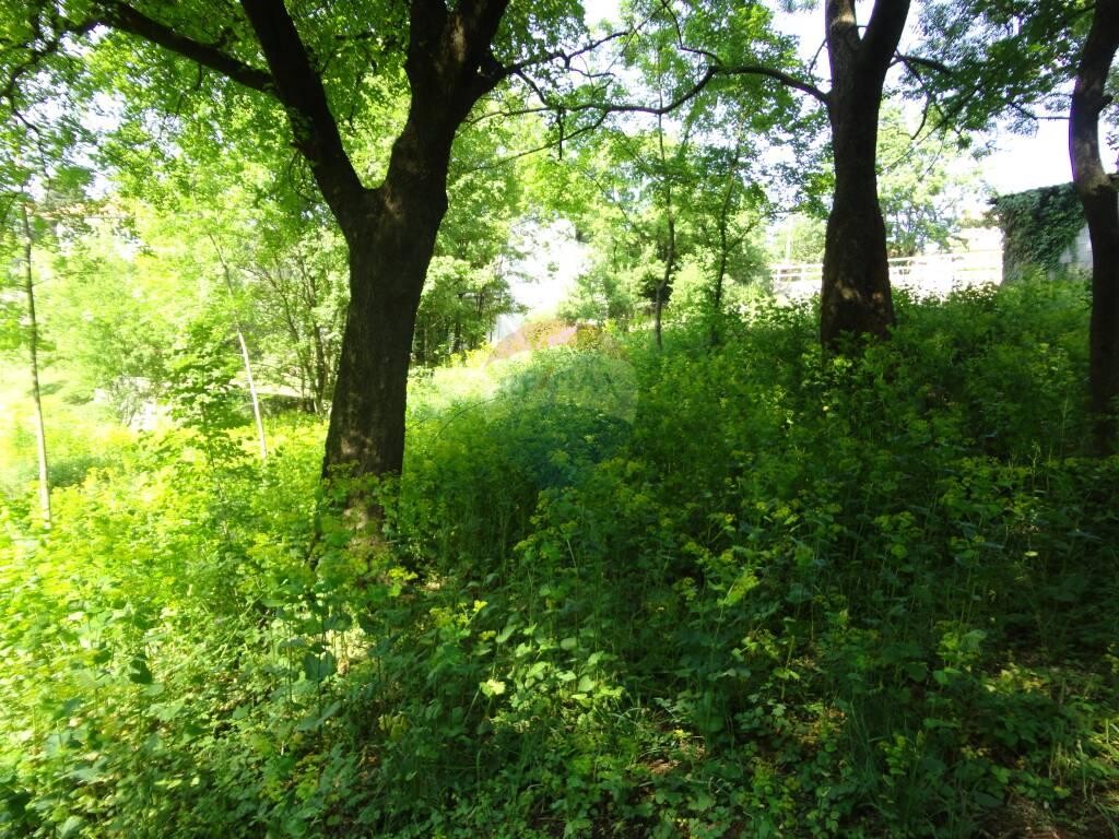 Image 5846136 - 2