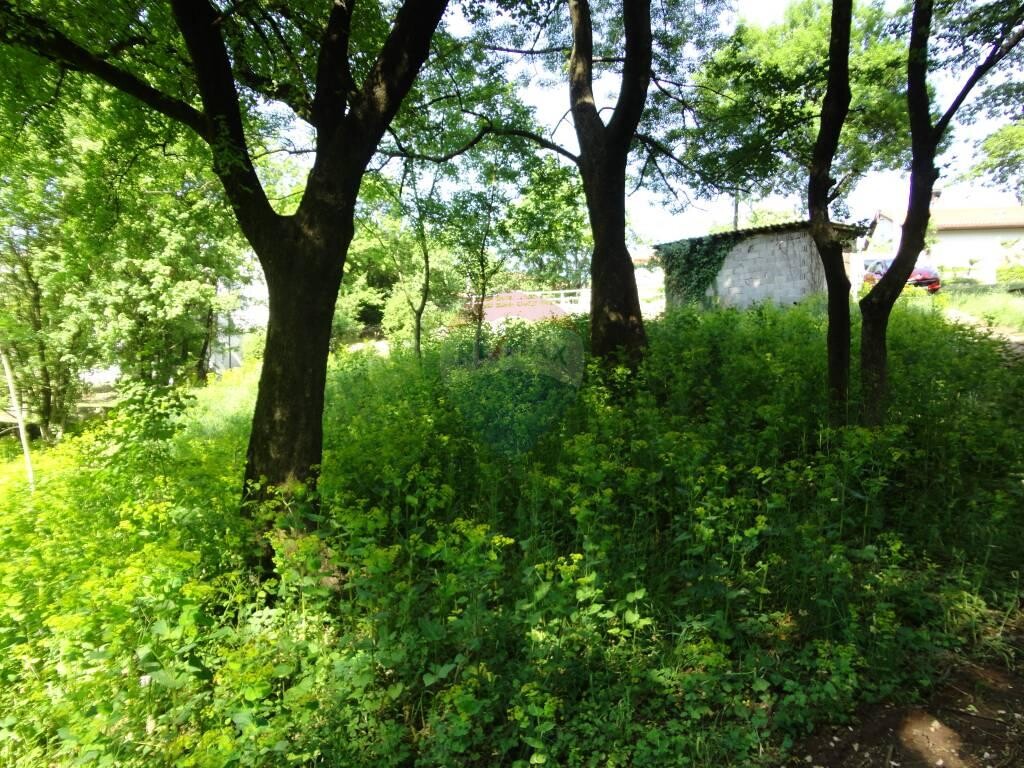 Image 5846136 - 1