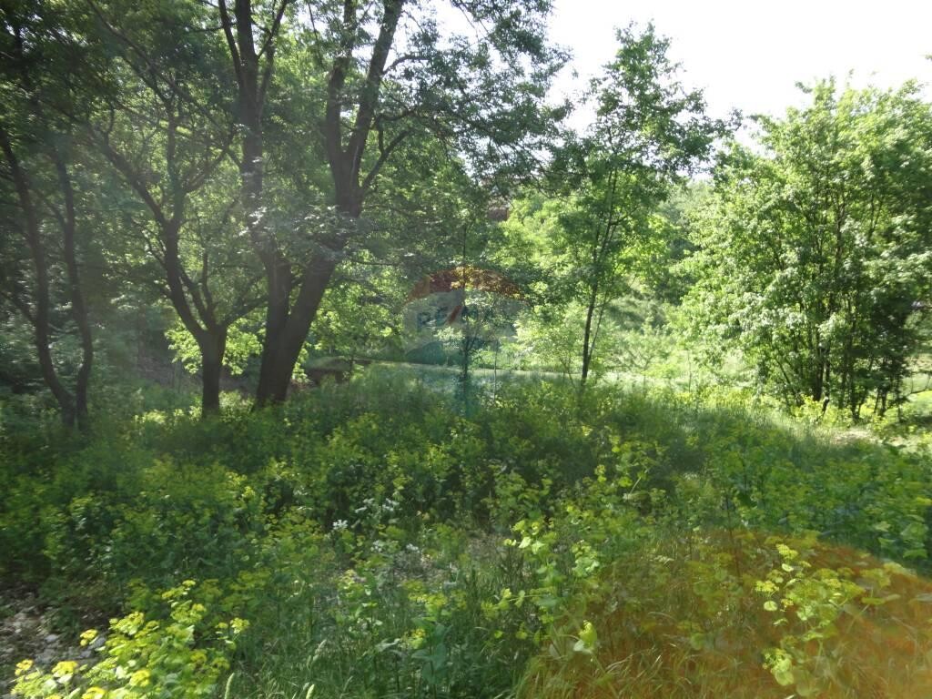 Image 5846137 - 4