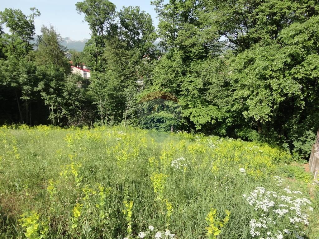 Image 5846137 - 5