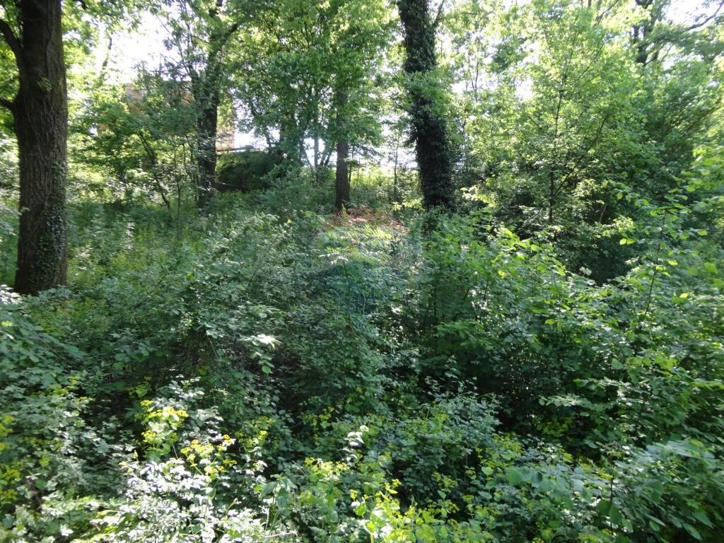 Image 5846137 - 1