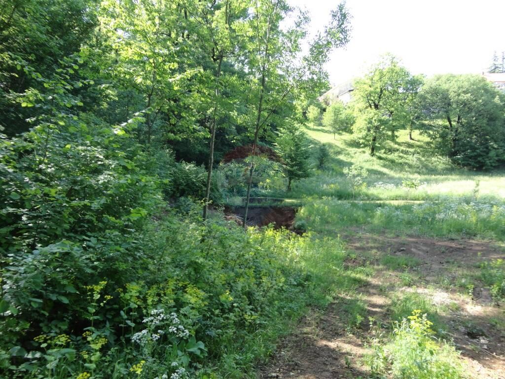 Image 5846137 - 2