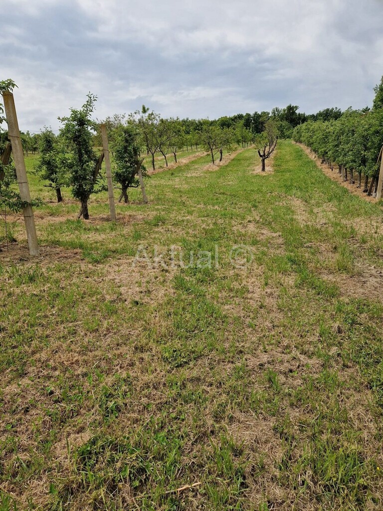 Image 5847338 - 22