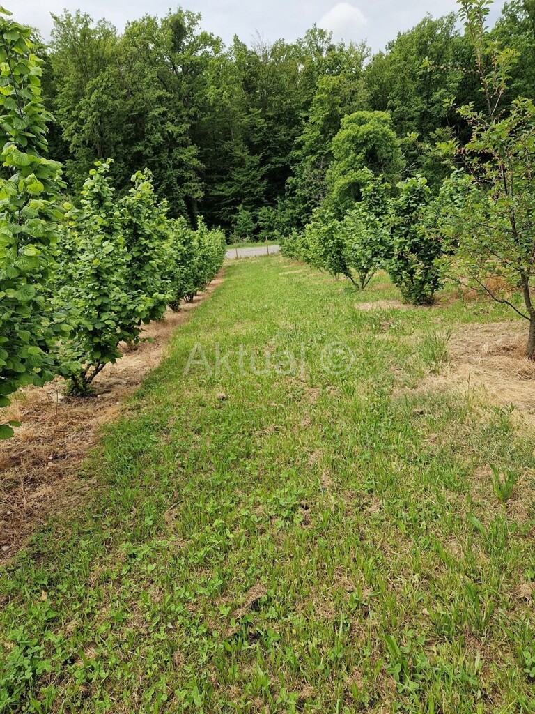 Image 5847338 - 25