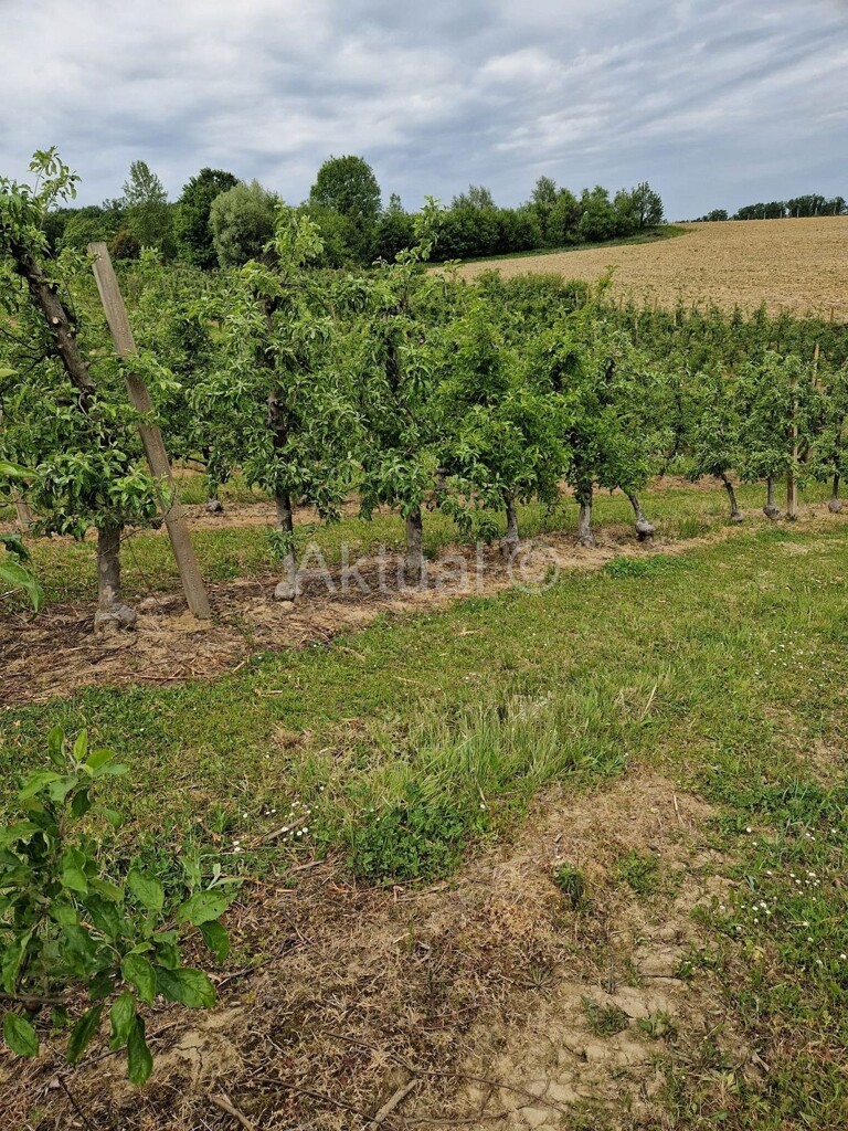 Image 5847338 - 18