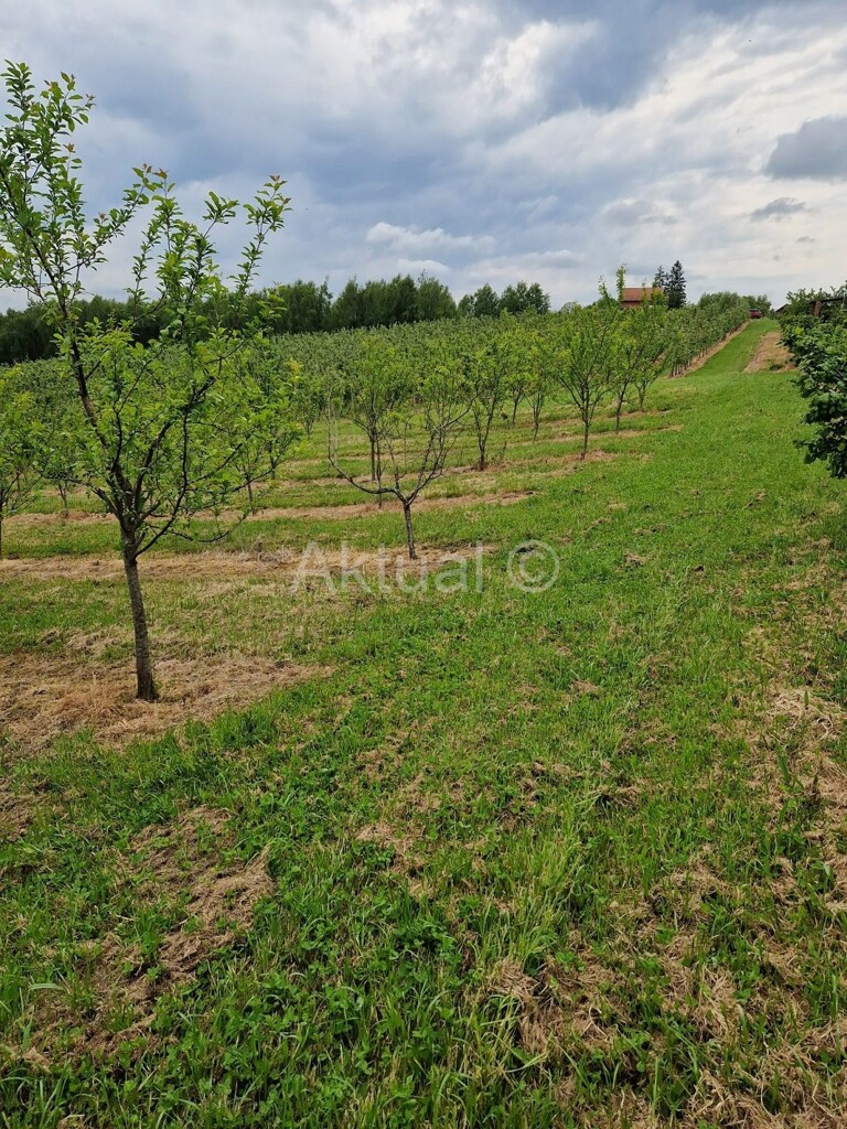 Image 5847338 - 21