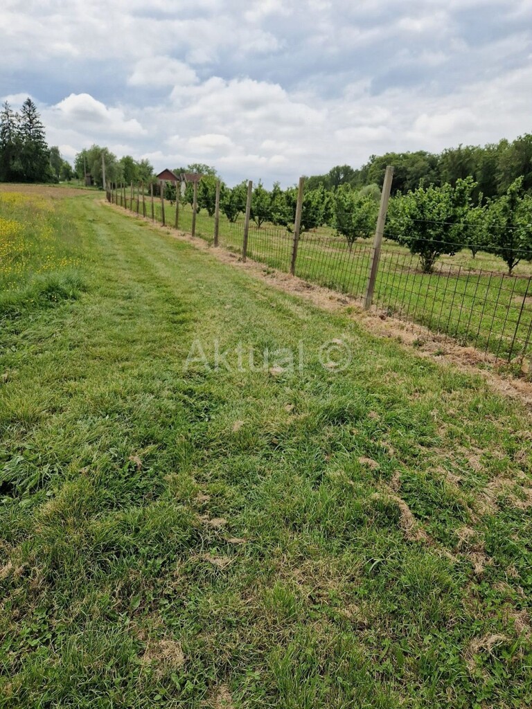 Image 5847338 - 1