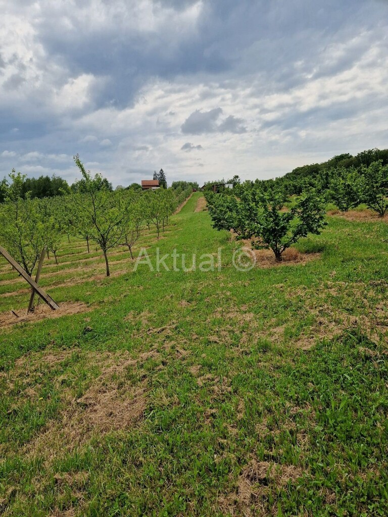 Image 5847338 - 5
