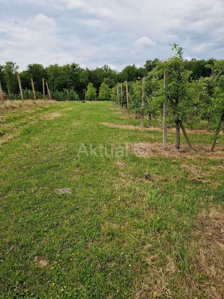 Image 5847338 - 14