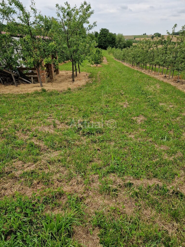 Image 5847338 - 11