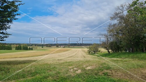 Thumbnail 5847448 - 4