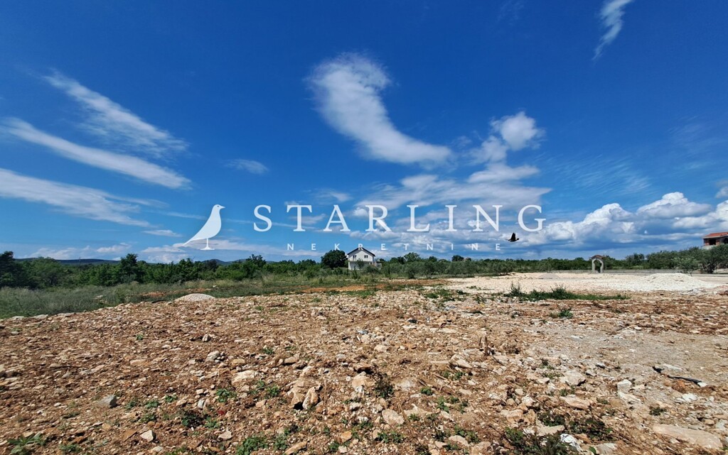 Image 5848910 - 1