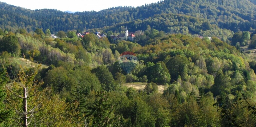 Image 5849399 - 4