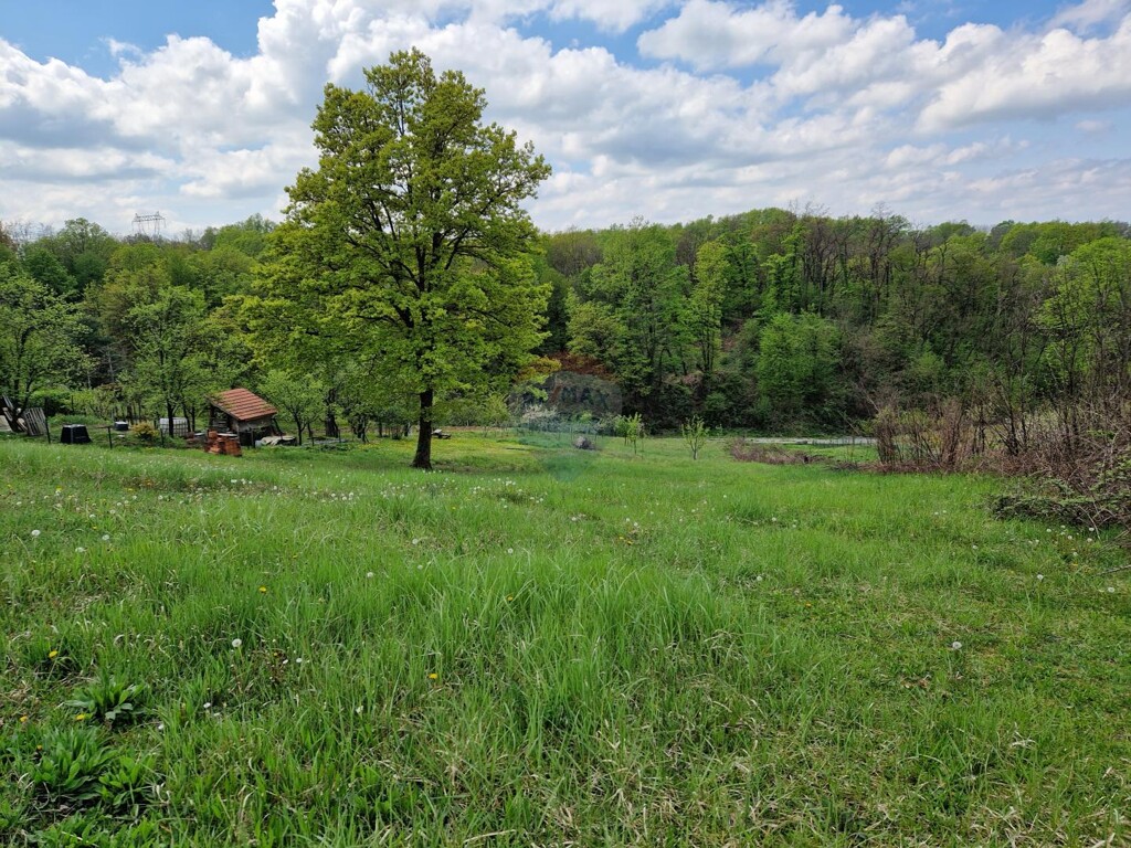 Image 5849401 - 1