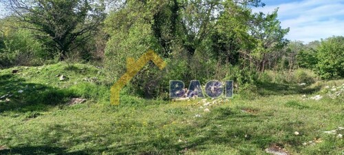 Thumbnail 5850620 - 1