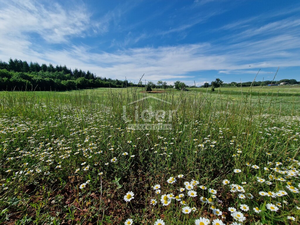 Image 5853671 - 5
