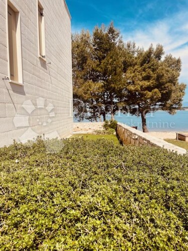 Thumbnail 5854605 - 2