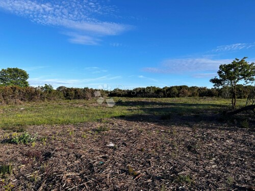 Thumbnail 5856786 - 1