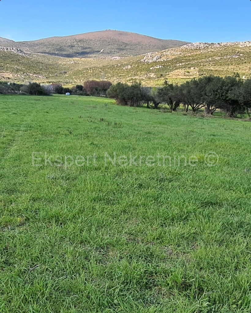Image 5856868 - 2