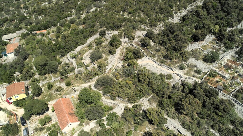 Image 5856869 - 4