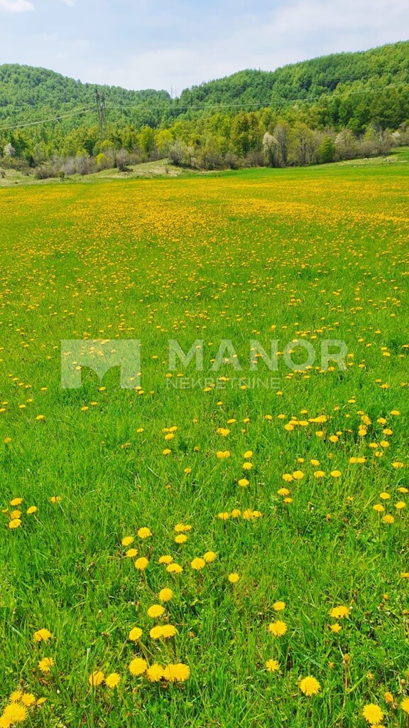 Image 5856932 - 5