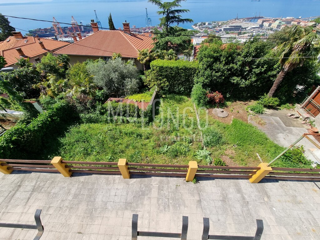 Image 5858810 - 2
