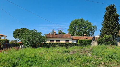 Thumbnail 5858835 - 5